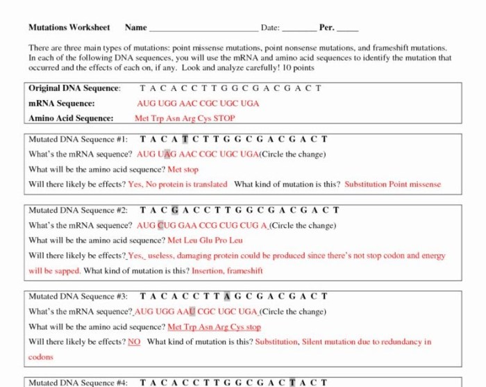 Dna base pairing worksheet answer key