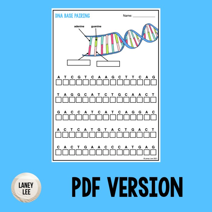 Worksheet dna pairing base chessmuseum related posts