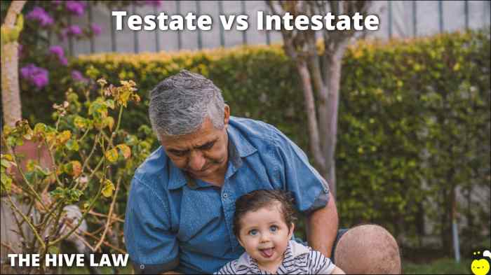 Difference between testate and intestate