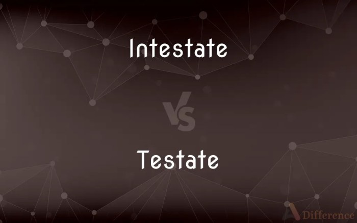 Difference between testate and intestate