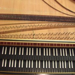 Harpsichord harpsichords voicing maintaining sorli jacks