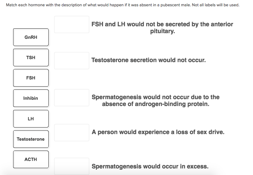 Hormone match description column action listed appropriate cells pancreatic endocrine