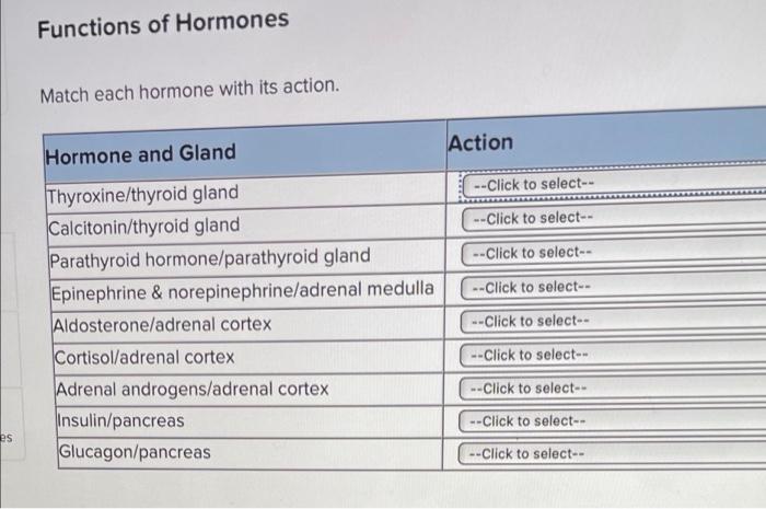 Match each hormone description with its standard abbreviation