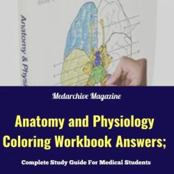 Figure 11-1 anatomy and physiology coloring workbook