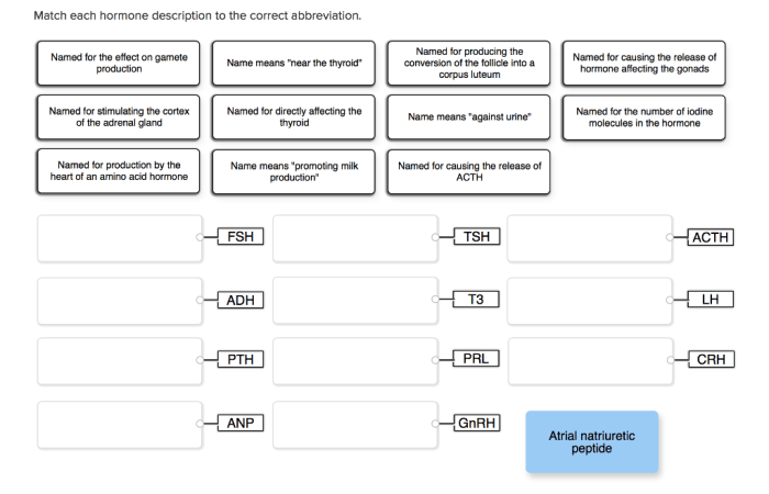 Match each hormone description with its standard abbreviation